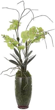 Valdive - Orchid-38 Inches Tall and 21 Inches Wide