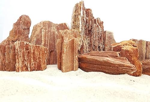 Image of Natural Redwood Petrified Stone for Aquarium Decoration | Aquascaping Rock for Fish Tanks, Terrariums, and Bonsai | pH Neutral, Dense Hardscape Stone with Wood-Like Grain Patterns (5 Kg)