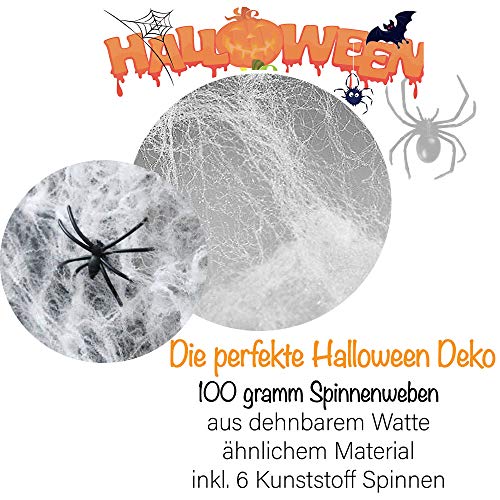 L+H - Rete Decorativa per Ragni, di Alta qualità