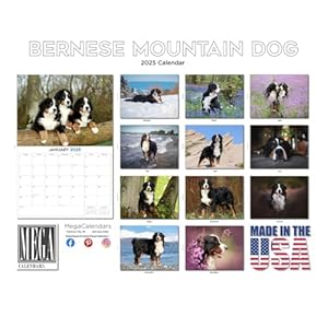 20242025bernesemountaindogcalendardogbreedmonthlywallcalendar12x18openthicknobleedpapergiftableacademicteachersplannercalendarorganizingplanningmadeinusa  Urban Country Home Decor 2024 2025 bernese mountain dog calendar dog breed monthly wall calendar 12 x 18 open thick no bleed paper giftable academic teachers planner calendar organizing planning made in usa  urban country home decor