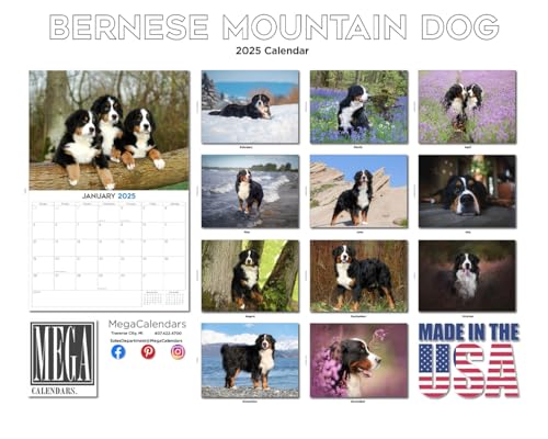 20242025bernesemountaindogcalendardogbreedmonthlywallcalendar12x18openthicknobleedpapergiftableacademicteachersplannercalendarorganizingplanningmadeinusa  Urban Country Home Decor 2024 2025 bernese mountain dog calendar dog breed monthly wall calendar 12 x 18 open thick no bleed paper giftable academic teachers planner calendar organizing planning made in usa  urban country home decor