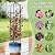 Obelisk Trellis for Garden Plants Climbing: 6ft Rustproof Metal Pipe with Plastic Coated - Potted Plant Climber Support for Outdoor Indoor Grape Vines Vegetable Fruits Flowers (2PC)