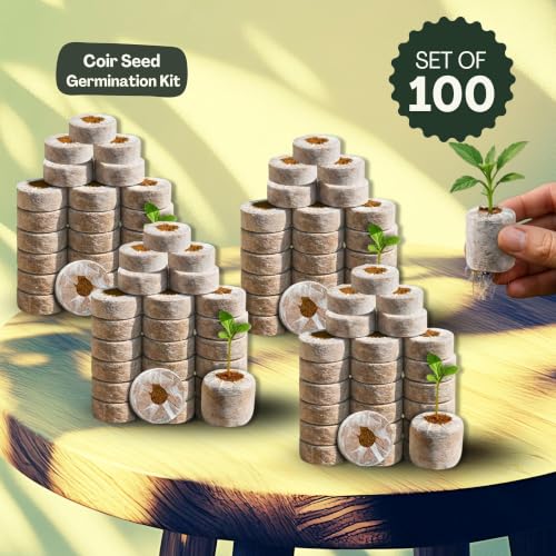 Image of Bombay Greens Organic Netted Cocopeat Coir Discs Seeds Germination pellets Coin Seedling Tray for Plants Indoor and Outdoor Gardening - Pack of 100 Coco Discs