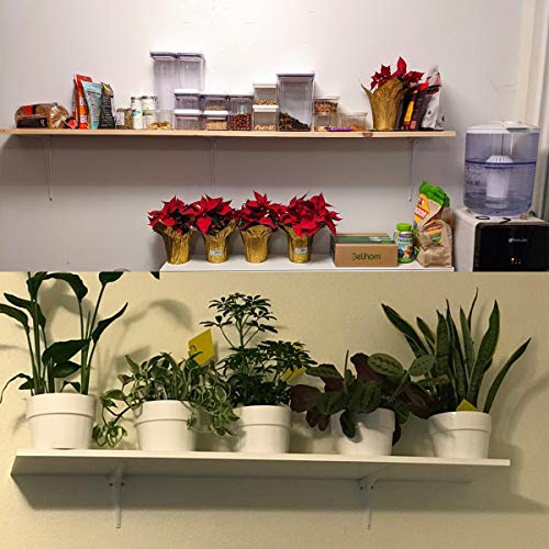 20Pcs White Wall Shelf Brackets 6 Inch, Heavy Duty L Bracket Corner Brace Support, Metal Joint Angle Bracket For Hanging, Floating Shelves Bracket For Shelf With Screws #TOP6