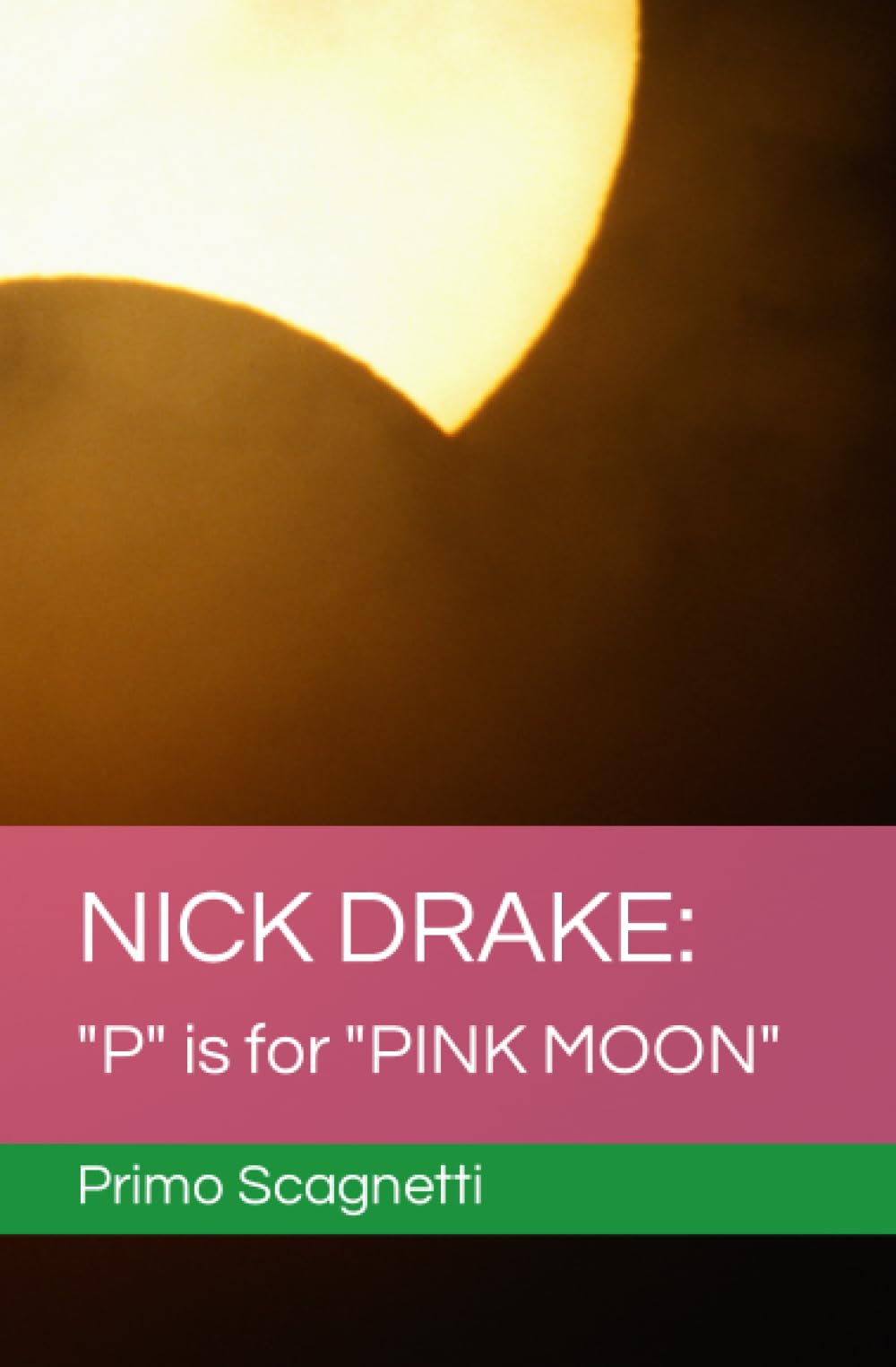 NICK DRAKE P is for PINK MOON L'hommage poétique en livre broché
