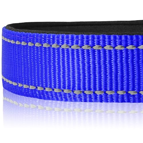image for Joytale Reflective Dog Collar, Soft Neoprene Padded, Metal D-Ring, Nyl