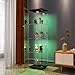 FANYUSHOW Display Cabinet with Glass Door and LED Light, 4-Tier Tempered Glass Display Shelf, Glass Curio Cabinet Collection Display Case, Black 64.7