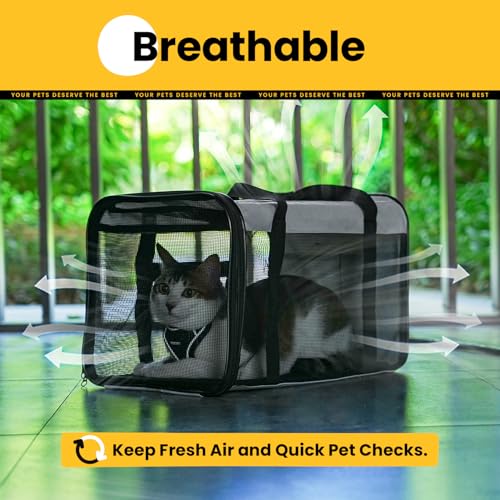 Image of Conlun Soft-Sided Cat Carrier for Small-Medium Cats, Puppies up to 15 Lb, Airline Approved