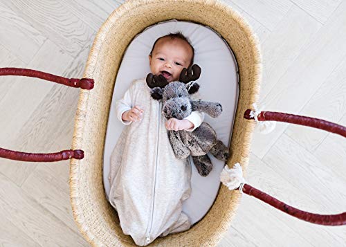 Image of Copper Pearl Baby Sleep Sack, Oat - Wearable Blanket for 0-6 Months, Sleeveless Sleep Sack for Baby Boy or Girl
