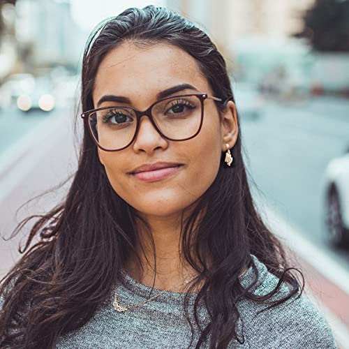 14k Gold Plated Zodiac Sign Drop Hoop Earrings for Women Birthday Gift2