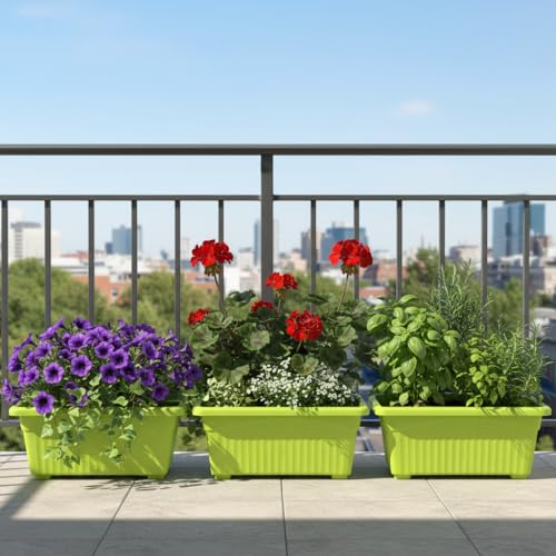 Image of Bianco Rectangular Plastic Pots for Plants, Jupiter Flower Pots for Home, Window Display, Garden (35 x 18.5 x 15 cm) (Green) (Pack of 3)