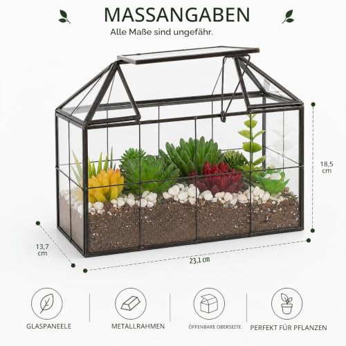 Ferrisland Luftpflanzen-Terrarium-Glas – Haus Sukkulenten Glasterrarium Großer geometrischer Übertopf mit Lippe für Sukkulenten Farn… – Ansicht 2