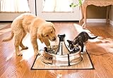 PetSafe Drinkwell Stainless Steel 360 Multiple Pet Fountain - Scratch and Rust Resistant Automatic Water Dispenser for Cats or Dogs - Adjustable Flow Control - 128 Ounce (3.8 Liter) - Filters Included