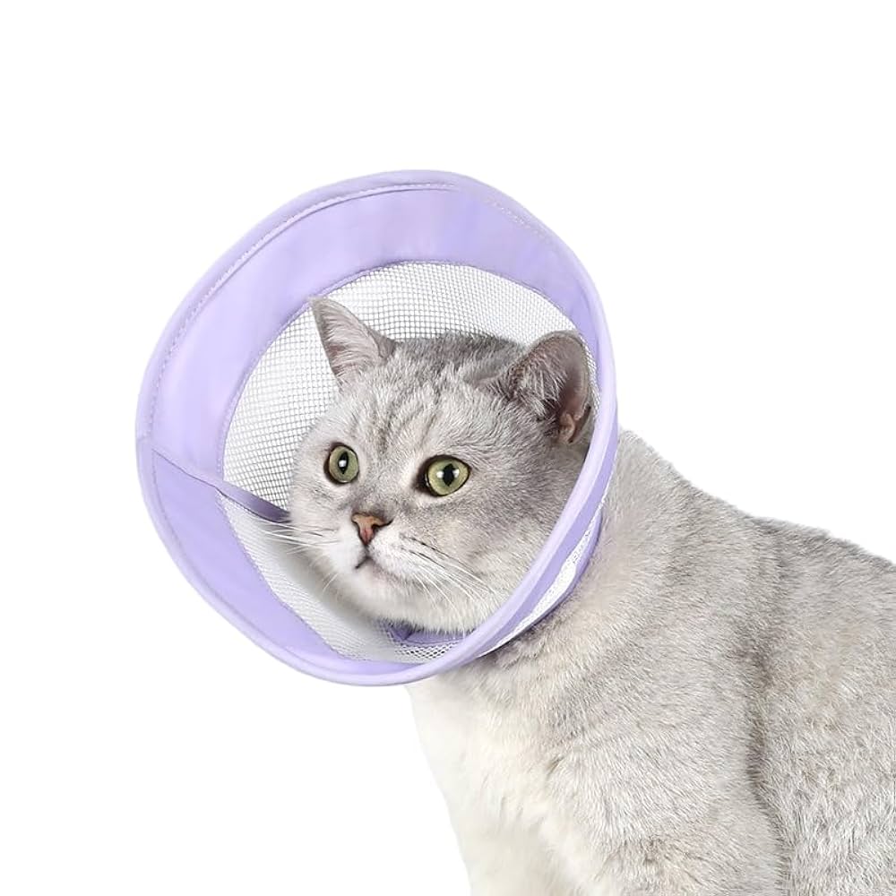 PET 6cm×5m 82cm/loop 猫猫狗狗 Amazon.com : PEQULTI Tall Cat Tree Floor to Ceiling Cat