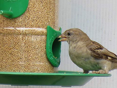 Image of Amijivdaya Large Bird Feeder with Hut Multi Color (1 Pieces)