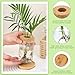 Layhit 4 Pcs Plants Propagation Stations vases Glass Planters with Wooden Lid and Bamboo Stand for Hydroponic Plants Gardening Gifts for Women Mom Home Office Tabletop Decoration(Stylish Style)