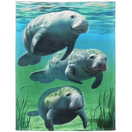 25 Unique Manatee Gifts: What Presents To Get Manatee Lovers 5 YISUMEI 60x80 Manatees Blanket Soft Plush Throw for Couch