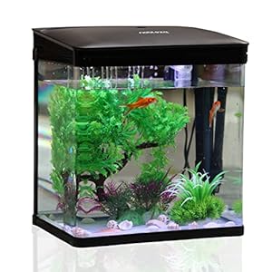 Nobleza – 7L Acuarios y Peceras Completas， Peceras de Cristal con Sistema de Filtrado Integrado e Iluminación LED， Acuarios de Iniciación， Negro