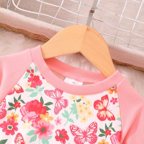Image of Little Girls Clothes Sets - Cute Sweatshirts Top Shirt & Leggings 2 Piece Kids Fall Winter Outfits Toddler Clothing