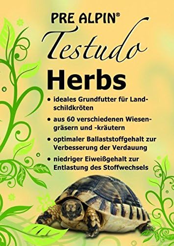 herbs for tortoises