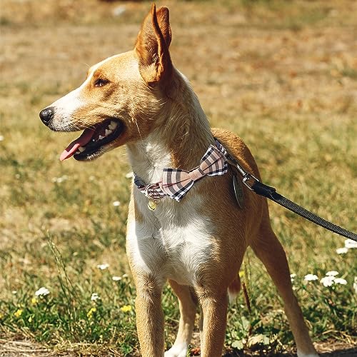 Kryzalite® Verstellbares Hundehalsband mit Fliege, Karierter Stil, stilvolles und weiches Halsband, Sicherheitsschnalle, lässt Sich Nicht leicht lösen, für Haustiere (Khaki) – S