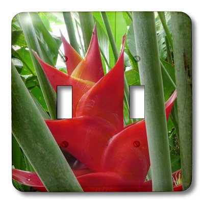 Double interrupteur à bascule Heliconia Flower 3dRose LSP_89785_2