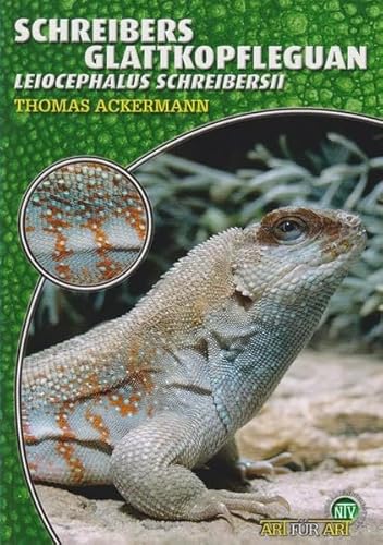 Schreibers Glattkopfleguan: Leiocephalus schreibersii (Terrarien-Bibliothek)