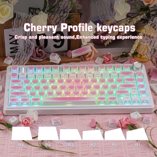 Teclas PBT personalizadas Sunzit de 130 piezas de alta resistencia perfil Cherry 4