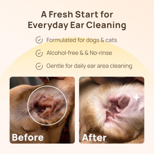Image of HICC PET Ear Cleaner Finger Wipes for Dogs & Cats, Unscented, 50 Count | Removes Ear Dander, Dirt & Debris for Fresher Ears, Gentle Extra-Large Finger Wipes for Daily Ear Cleaning