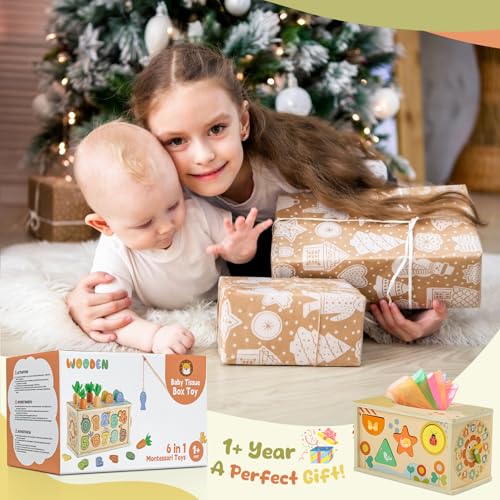 Brinquedos Montessori 1 Ano, 6 em 1 Montessori Brinquedo de Caixa de Lenços para Bebês com Jogo de Pesca, Brinquedo Educativo para Crianças de 1 2 3 Anos Atividades de Motricidade Fina | Presente