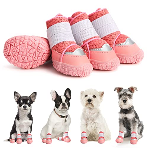 Best Shoes For French Bulldogs Just HEALTHIER Frenchies!