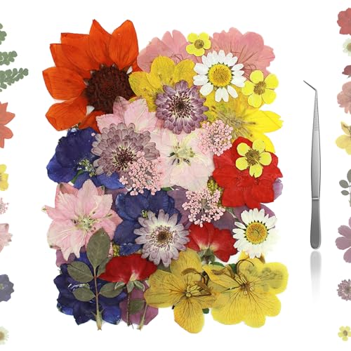 Kit de flores prensadas AZY con 33 piezas naturales secas miniatura 1