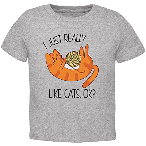 I Just Really Like Cats Ok Cute Toddler T Shirt Heather Toddler Size 5/6