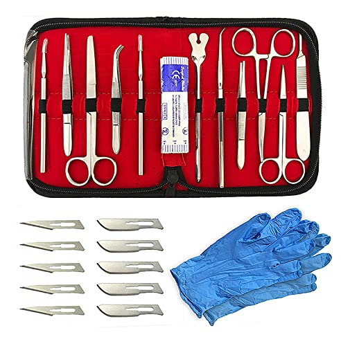 Kit De Disección De 22 Piezas Para Laboratorio De Biología, Kit De Disección De Hojas De Acero Inoxidable, Con Hojas De Bisturí, 1 Par De Guantes Grandes Y Estuche De Almacenamiento Organizador.
