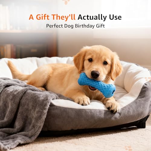 Image of Amazon Basics Treat Dispensing Dog Toy Combo | Squeaky Ball & Interactive Bone | Durable Rubber | Mental Stimulation & Teething | for Puppies & Small Dogs