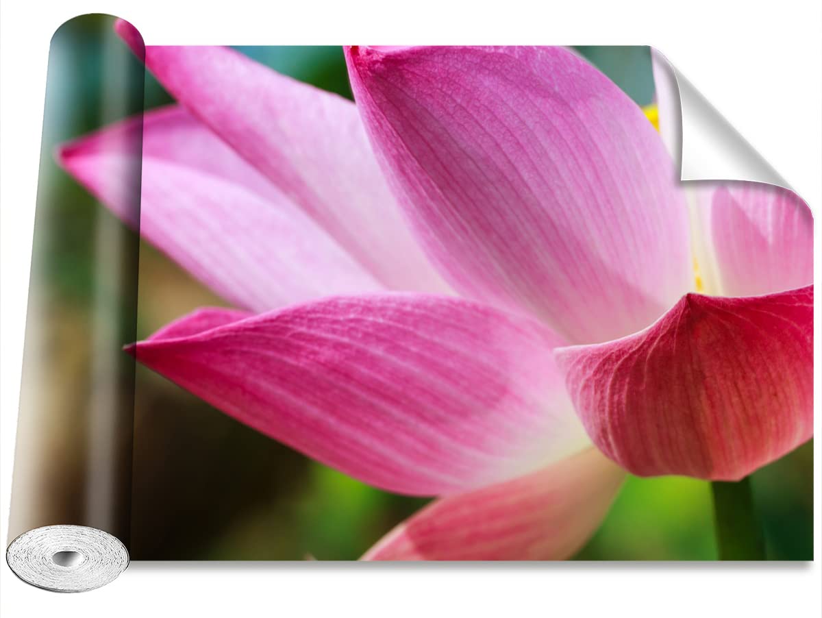 Papier Peint Lotus Rose 250x104cm Tulup pour Décoration Murale Moderne Bricolage
