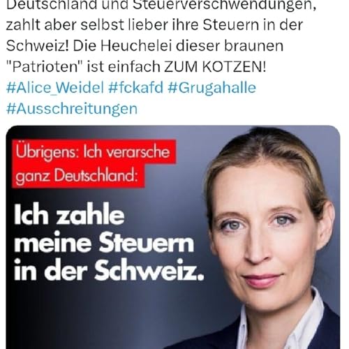 AfD will Betriebe und Hauseigent&uuml;mer enteignen!!