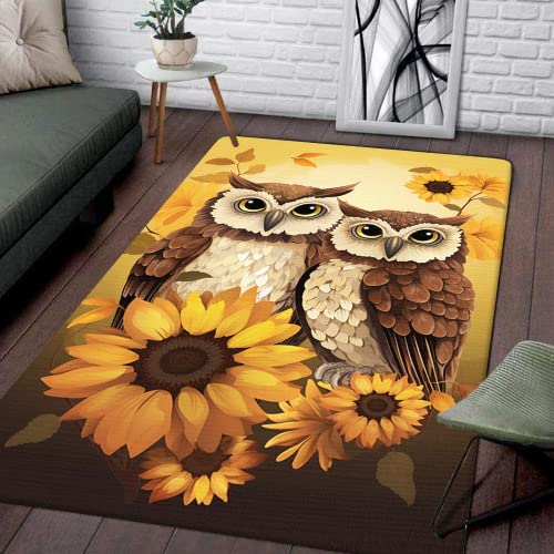Personalized Cool Owl Rugs for Nursery - Large, Modern, Super Soft, Absorbent, Perfect for Bathroom,