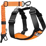 Respirable Arnés Perro Coche: Hecho a mano de nylon tejido de alta calidad, el cinturón de seguridad para mascotas para el coche es resistente y a prueba de desgarros, lo que garantiza una protección fiable para su mascota. Elástico cinturón de seguridad de seguridad: por hilos de goma de varias hebras, lo que proporciona absorción de impactos para proteger al perro de frenazos repentinos o giros bruscos, permitiéndole conducir con tranquilidad y la mínima distracción.
