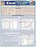 Excel: Pivot Tables & Charts QuickStudy Laminated Reference Guide (QuickStudy Computer)