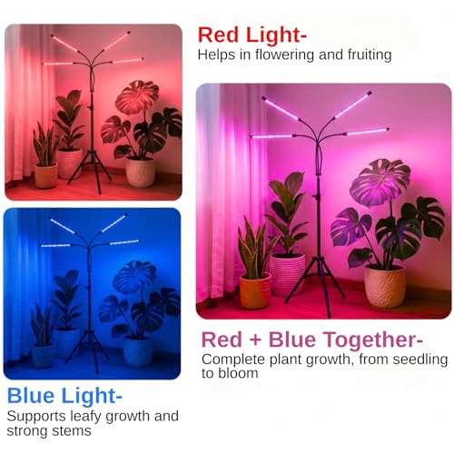 Image of ecofynd Kaira4 2 Years Warranty Grow Light for Indoor Plants (Vegetables, Leafy Growth & Flowering Boost), Auto On /Off Automatic Timer, 4 Head 15 Watt LED Artificial Sunlight with 2.4M Wire (005)