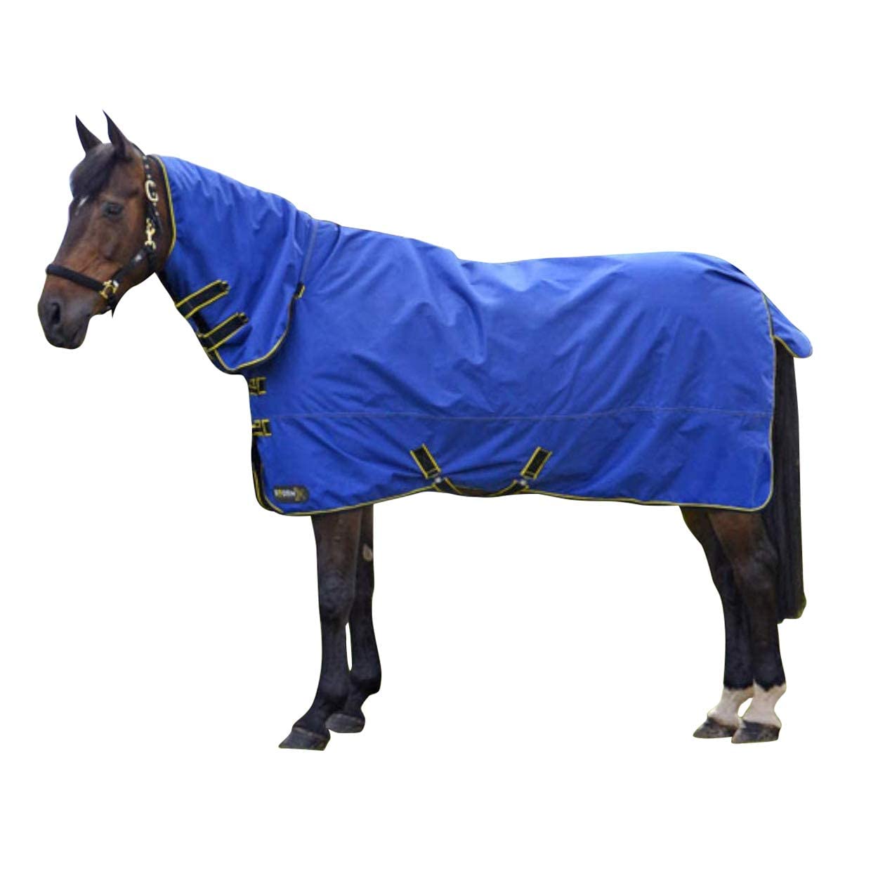 Couverture cheval contre les coups de froid du printemps et automne