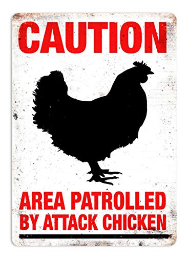 BCTS Plaque murale en métal avec différents poules - Propriétaire de la ferme agricole - 20,3 x 30,5 cm