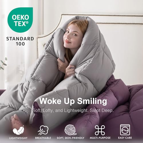 Image of KASENTEX Queen Comforter Set, Reversible,Goose Down Alternative,All Season | 250 GSM Fill, Ultra-Soft, Lightweight, Machine Washable, 1 Comforter + 2 Pillow Shams, Grape Jam /Gull