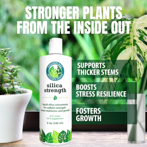 Monstera Growth Power-Duo Bundle – Silica Strength + Plant Food miniatura 4