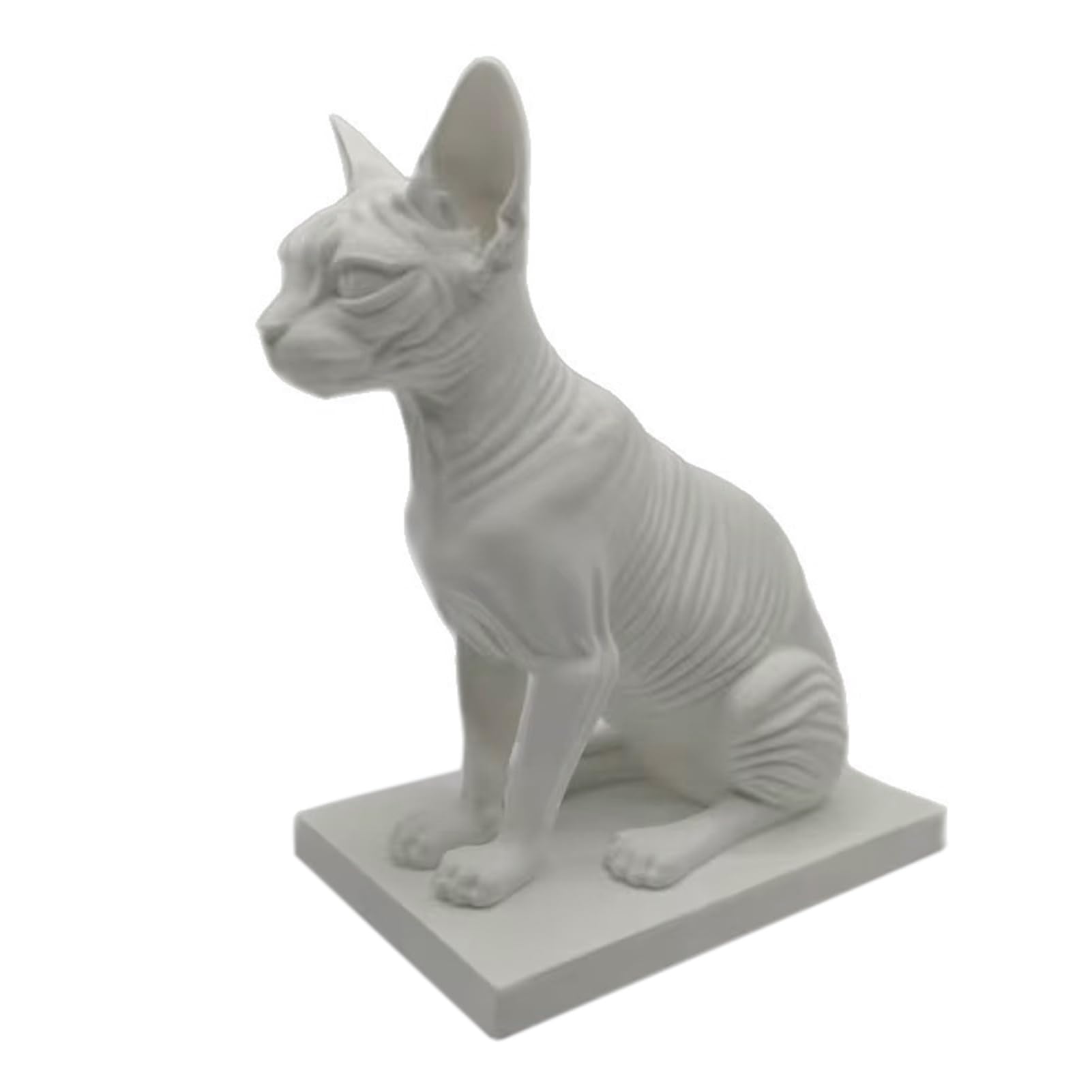 matumou Simulated Hairless Car Model, Realistic Sphynx Hairless Cat Figurine, Science Educational Prop, Desktop Ornament for