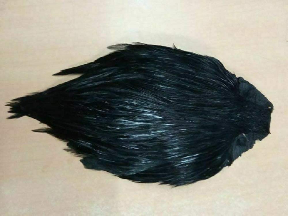 Gordon Griffiths Grade1 Cock Cape Dyed Black
