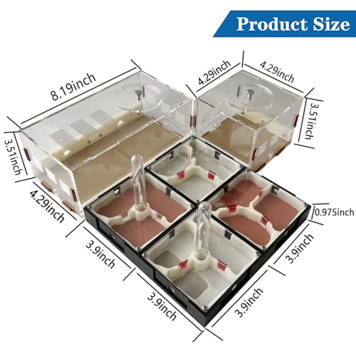 Ants Footsteps Ant Farm Nest Science Diy Terrarium Kit Care thumb #1