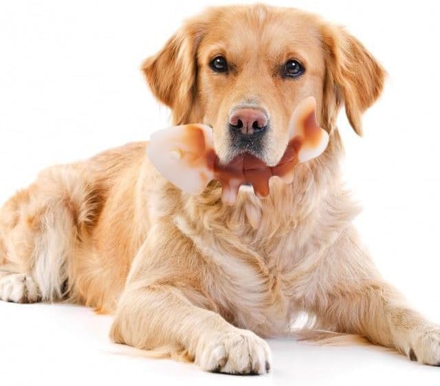 Fuzzl Robustes Hundespielzeug aus Nylon - Fischform mit Lachsgeschmack