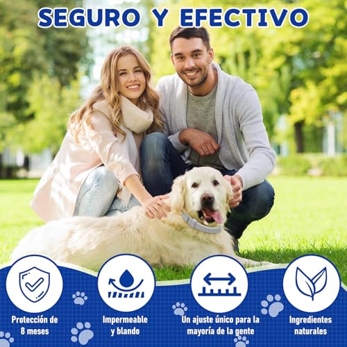 Collares para perros 20 Imagen adicional